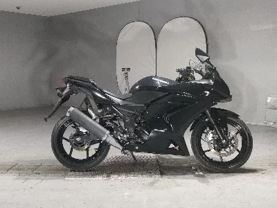Kawasaki NINJA250R