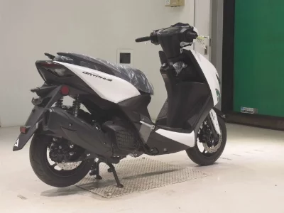 Yamaha  CYGNUS  GRIF ASU
