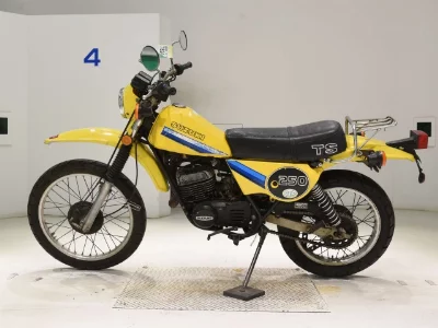 Suzuki TS250