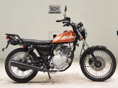 Suzuki GLASS TRACKER BIG BOY
