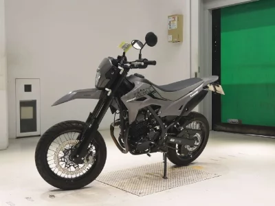 Kawasaki KLX230SM