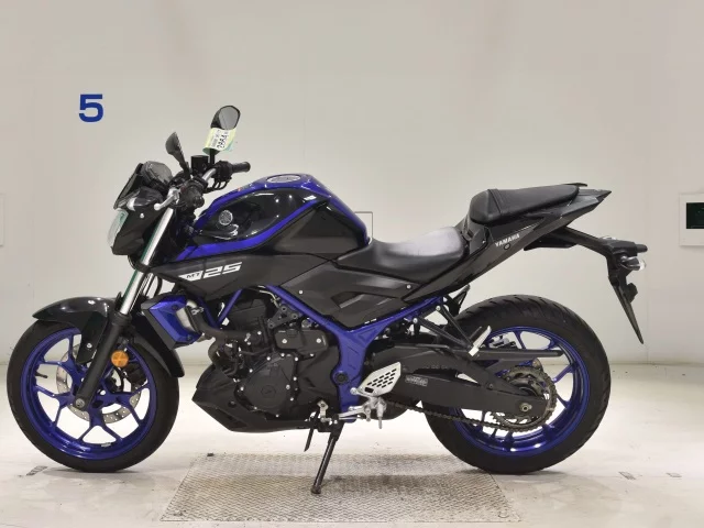 Yamaha MT-25  с аукциона в Японии