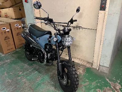 Honda DUX 125