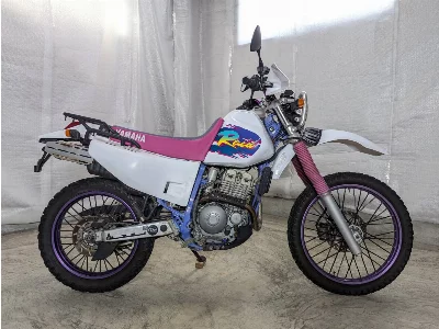 Yamaha TT250RRAID