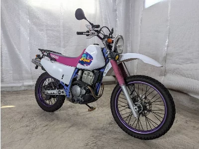 Yamaha TT250RRAID