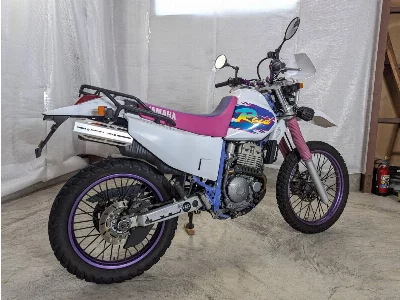 Yamaha TT250RRAID с аукционов Японии