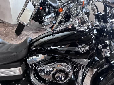 Harley-Davidson HARLEY FXDF1580