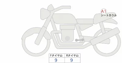 Kawasaki Z900RS SE