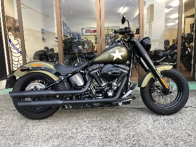 Harley-Davidson  HARLEY FLSS