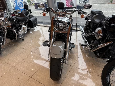 Harley-Davidson HARLEY FLFBS