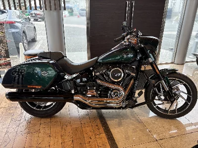 Harley-Davidson  HARLEY FLSB