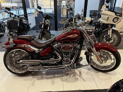 Harley-Davidson  HARLEY FLFBS