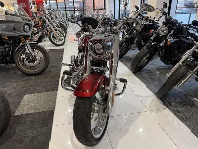 Harley-Davidson  HARLEY FLFBS