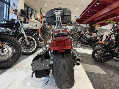 Harley-Davidson  HARLEY FLFBS