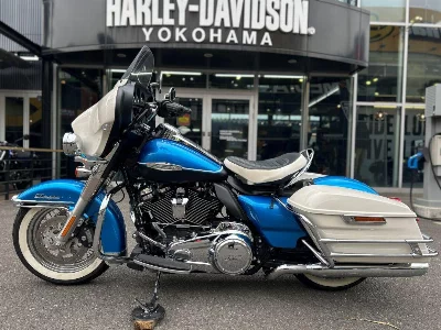 Harley-Davidson HARLEY FLH
