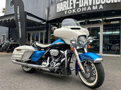 Harley-Davidson HARLEY FLH