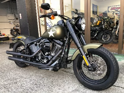 Harley-Davidson  HARLEY FLSS
