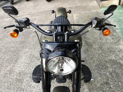 Harley-Davidson  HARLEY FLSS