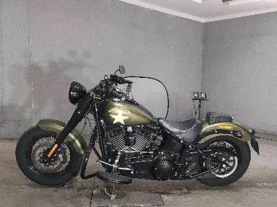 Harley-Davidson  HARLEY FLSS1800