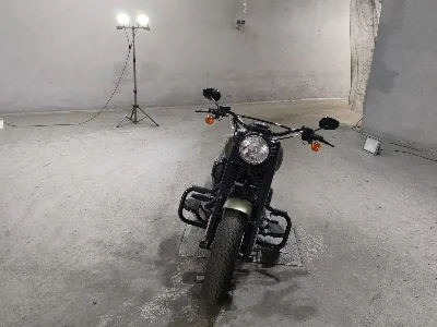 Harley-Davidson  HARLEY FLSS1800