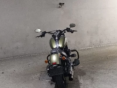 Harley-Davidson  HARLEY FLSS1800