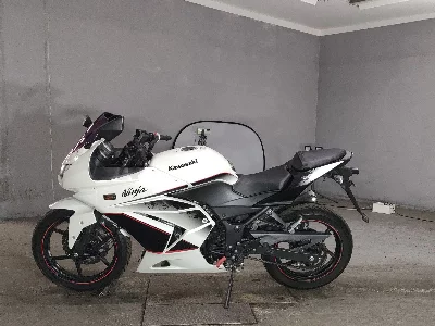 Kawasaki NINJA250R
