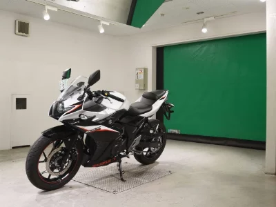 Suzuki GSX250R