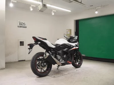 Suzuki GSX250R