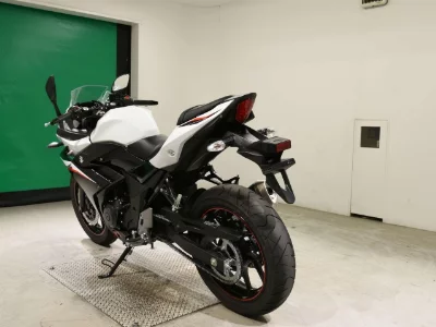 Suzuki GSX250R