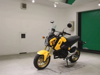 Honda GU ROM