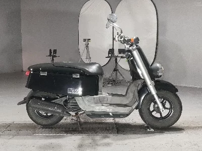 Yamaha VOX