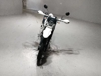 Kawasaki KLX230 SHERPA