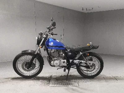 Suzuki GLASS TRACKER BIG BOY