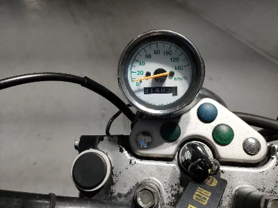 Suzuki GLASS TRACKER BIG BOY