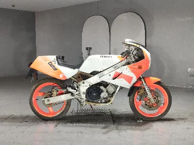 Yamaha FZR400R