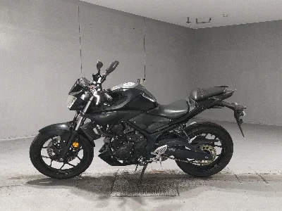 Yamaha MT-25