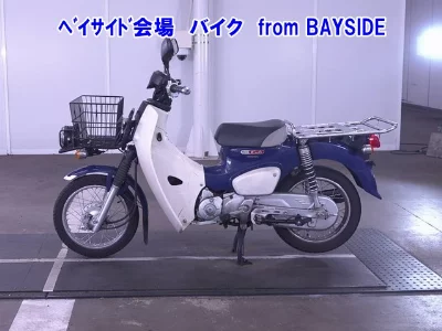 Other C110PU LOW 3