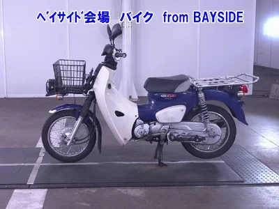 Other C110PU LOW 3