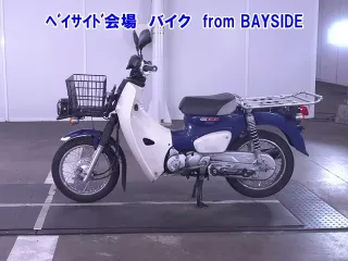 Other C110PU LOW 3