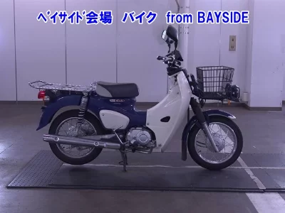 Other C110PU LOW 3