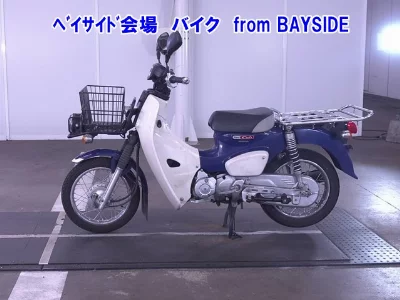 Other C110PU LOW 3