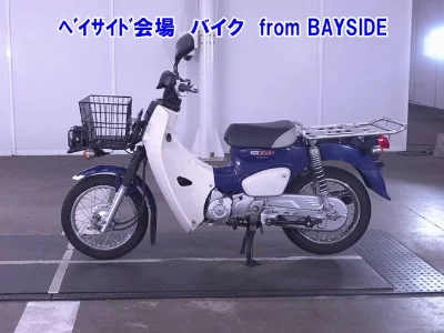 Other C110PU LOW 3