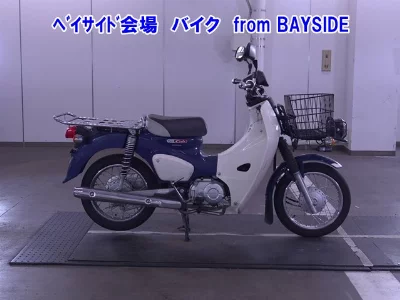 Other C110PU LOW 3