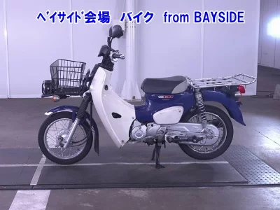 Other C110PU LOW 3