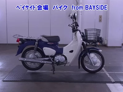 Other C110PU LOW 3