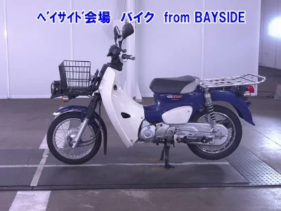 Other C110PU LOW 3