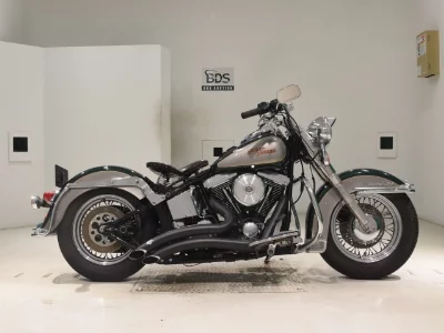 Harley-Davidson HARLEY FLSTN1340
