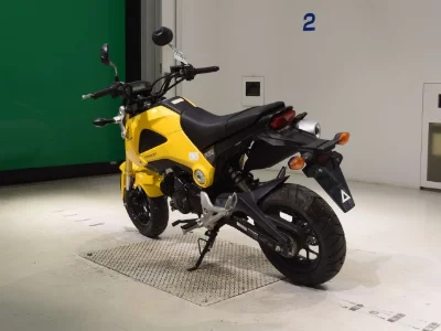 Honda GU ROM