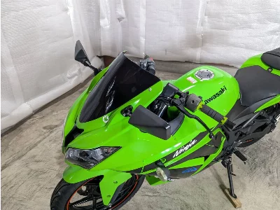 Kawasaki Ninja 250R