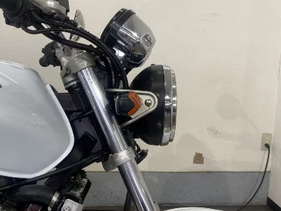 Honda HORNET250